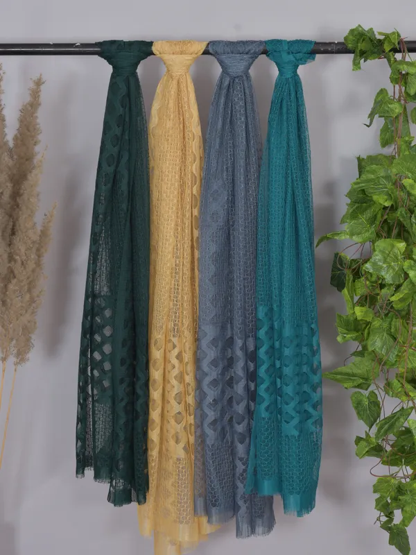 Multicolor_Net_Self_Design_Dupatta_For_Women_(Pack_Of_4)