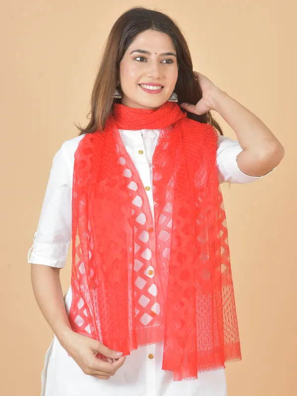 Multicolor_Net_Self_Design_Dupatta_For_Women_(Pack_Of_4)