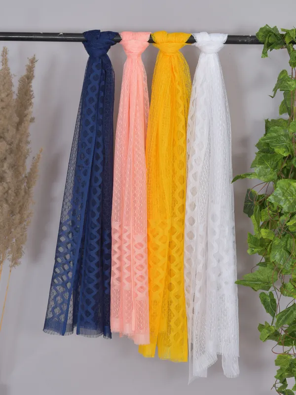 Multicolor_Net_Self_Design_Dupatta_For_Women_(Pack_Of_4)
