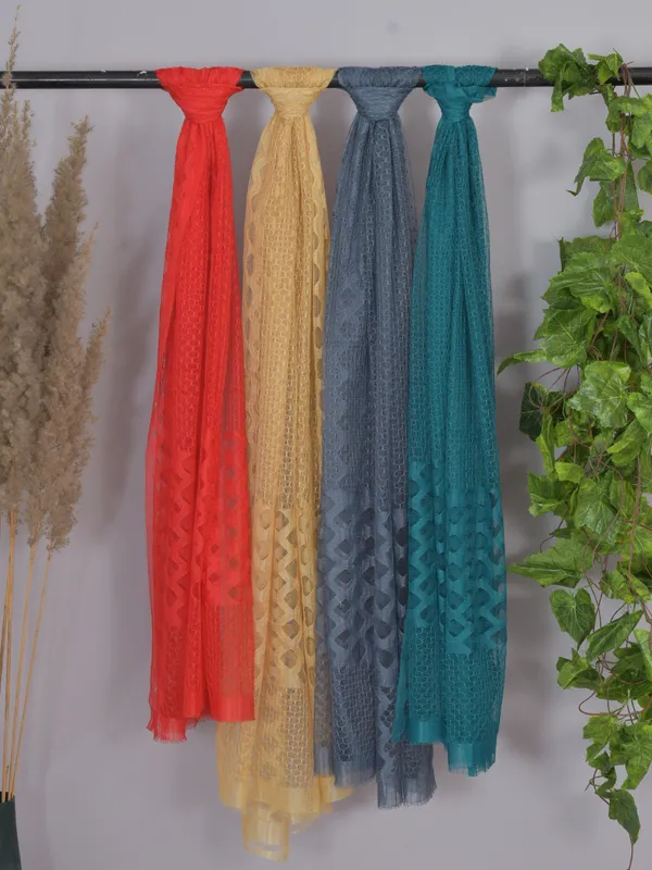 Multicolor_Net_Self_Design_Dupatta_For_Women_(Pack_Of_4)