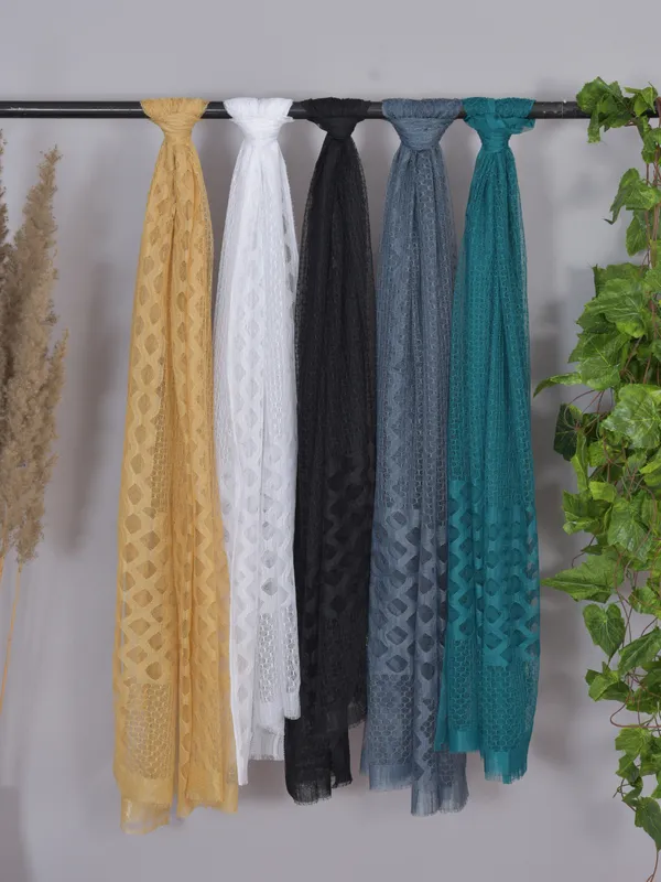 Multicolor_Net_Self_Design_Dupatta_For_Women_(Pack_Of_5)