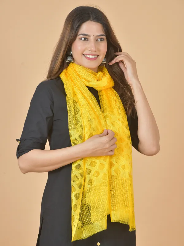 Multicolor_Net_Self_Design_Dupatta_For_Women_(Pack_Of_5)