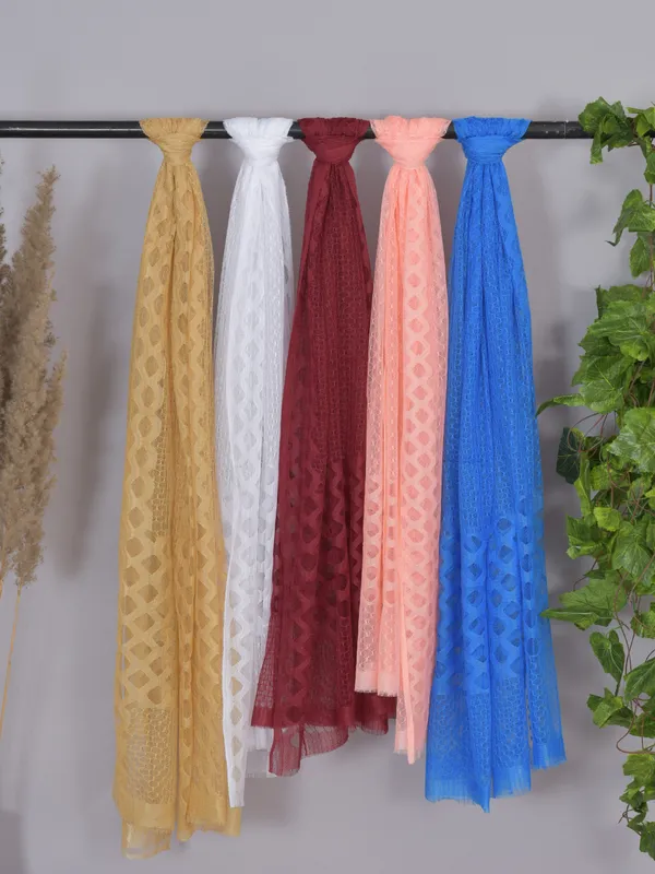 Multicolor_Net_Self_Design_Dupatta_For_Women_(Pack_Of_5)