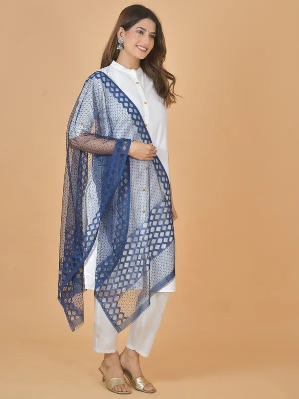 Multicolor_Net_Self_Design_Dupatta_For_Women_(Pack_Of_5)