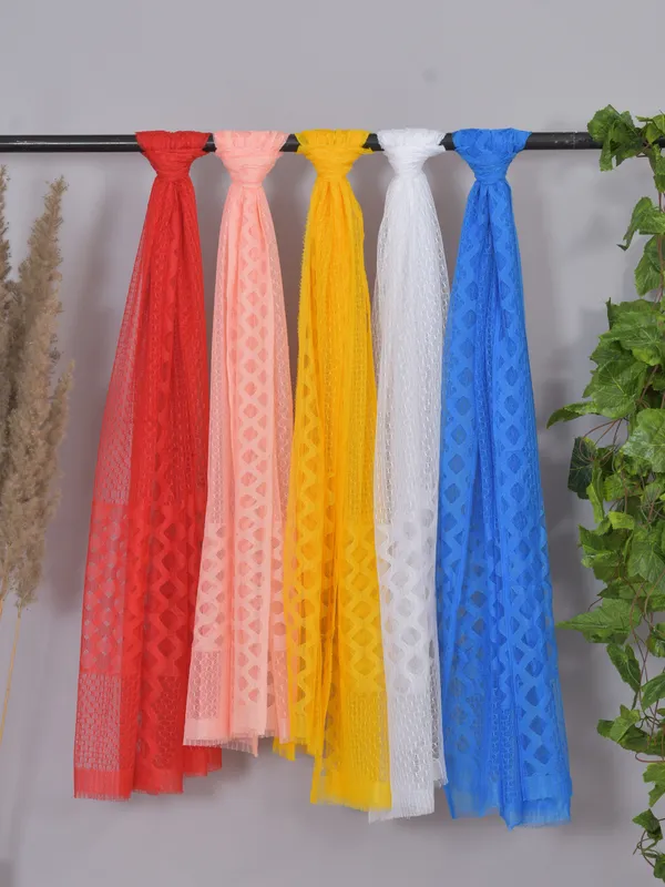 Multicolor_Net_Self_Design_Dupatta_For_Women_(Pack_Of_5)