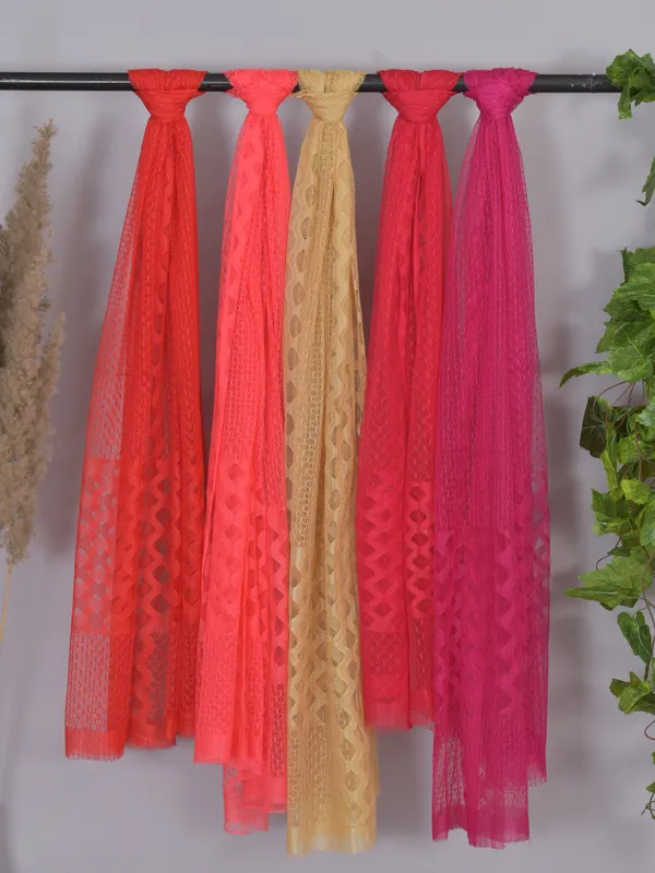 Multicolor_Net_Self_Design_Dupatta_For_Women_(Pack_Of_5)
