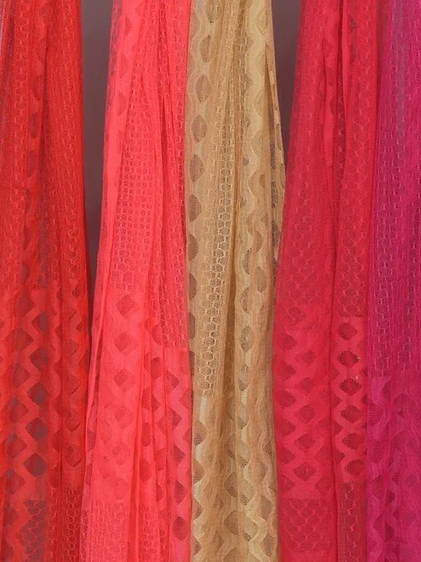Multicolor_Net_Self_Design_Dupatta_For_Women_(Pack_Of_5)