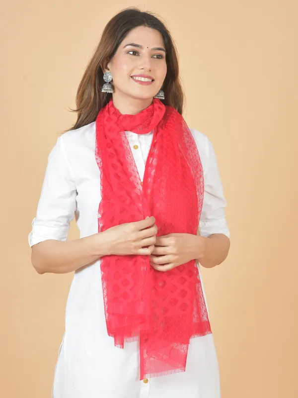 Multicolor_Net_Self_Design_Dupatta_For_Women_(Pack_Of_5)