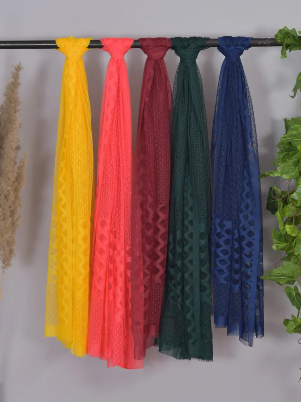 Multicolor_Net_Self_Design_Dupatta_For_Women_(Pack_Of_5)