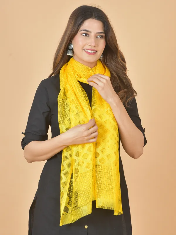 Multicolor_Net_Self_Design_Dupatta_For_Women_(Pack_Of_5)