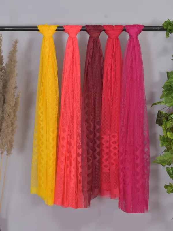 Multicolor_Net_Self_Design_Dupatta_For_Women_(Pack_Of_5)