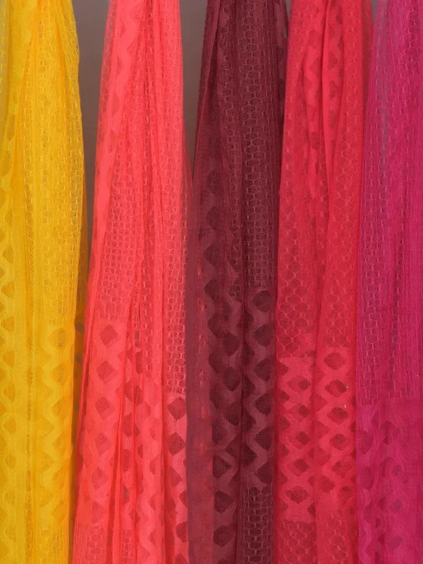 Multicolor_Net_Self_Design_Dupatta_For_Women_(Pack_Of_5)
