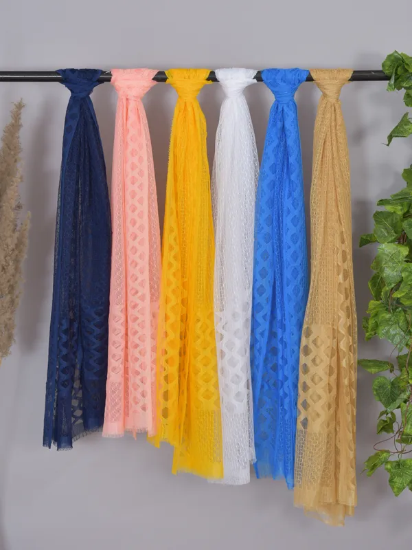 Multicolor_Net_Self_Design_Dupatta_For_Women_(Pack_Of_6)