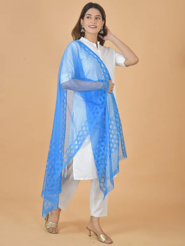 Multicolor_Net_Self_Design_Dupatta_For_Women_(Pack_Of_6)