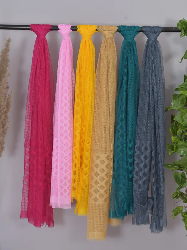 Multicolor_Net_Self_Design_Dupatta_For_Women_(Pack_Of_6)