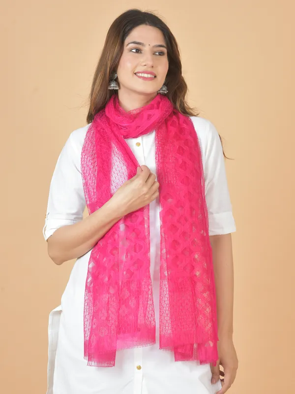 Multicolor_Net_Self_Design_Dupatta_For_Women_(Pack_Of_6)