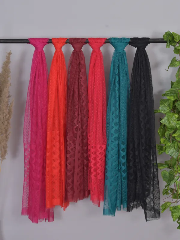 Multicolor_Net_Self_Design_Dupatta_For_Women_(Pack_Of_6)