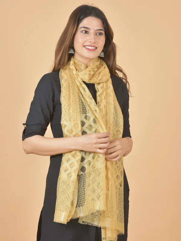Multicolor_Net_Self_Design_Dupatta_For_Women_(Pack_Of_7)