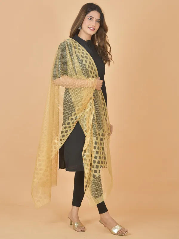 Multicolor_Net_Self_Design_Dupatta_For_Women_(Pack_Of_7)