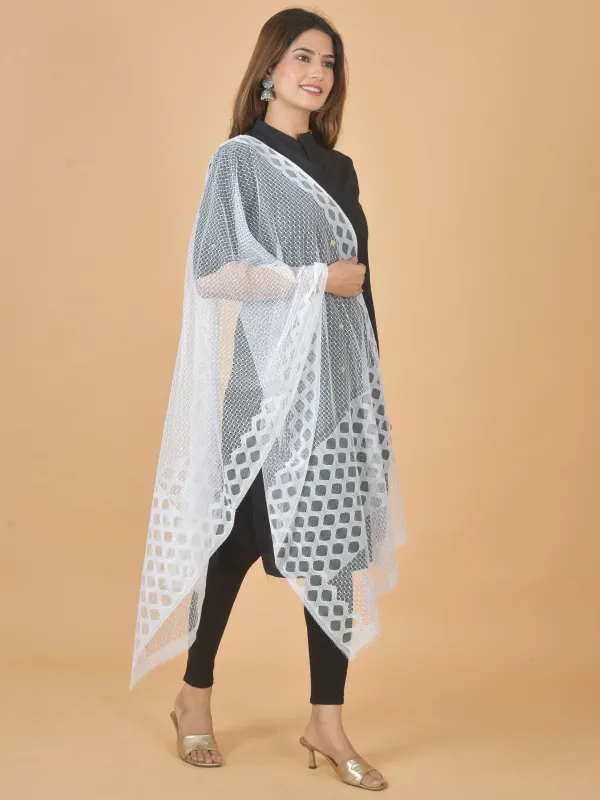 Multicolor_Net_Self_Design_Dupatta_For_Women_(Pack_Of_7)