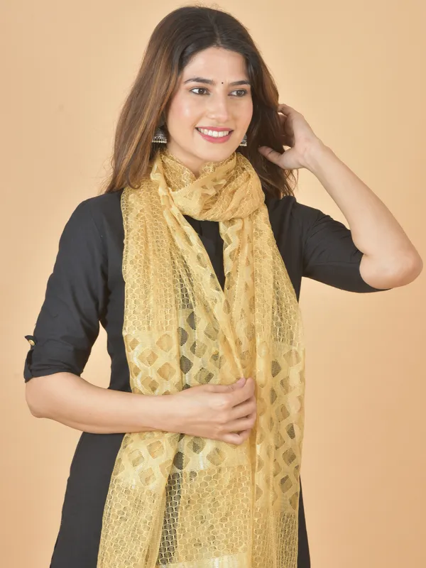 Beige_Net_Self_Design_Dupatta_For_Women