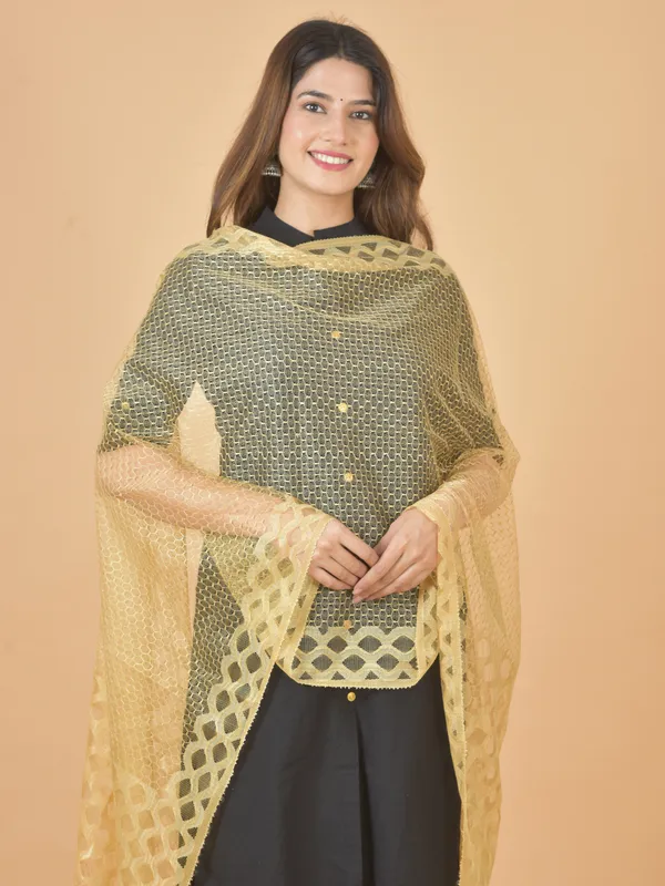 Beige_Net_Self_Design_Dupatta_For_Women
