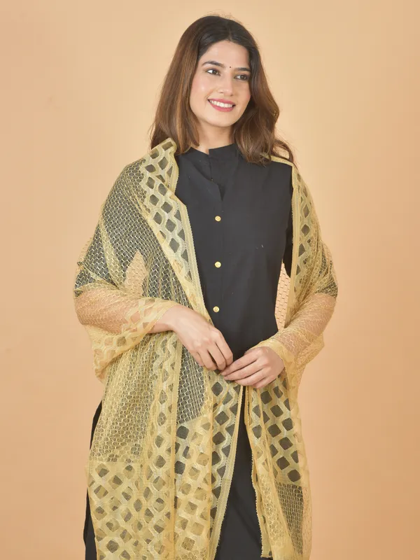 Beige_Net_Self_Design_Dupatta_For_Women
