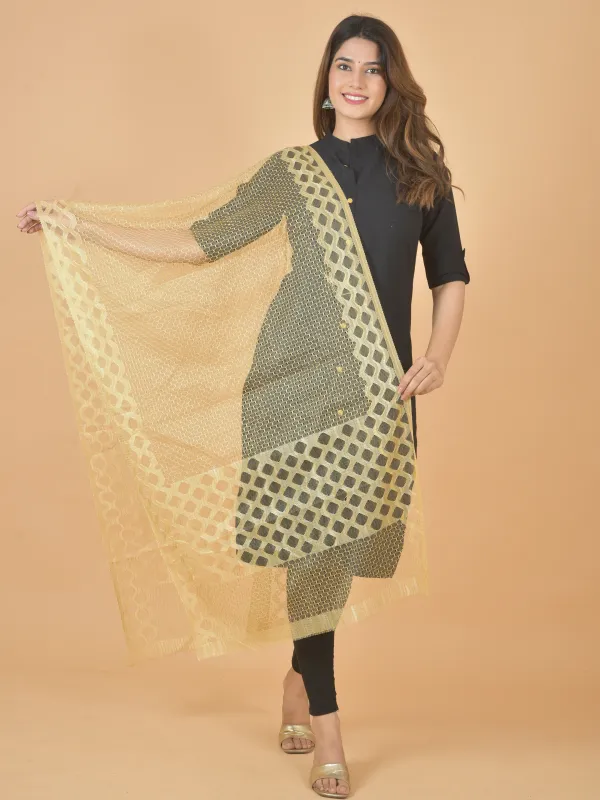Beige_Net_Self_Design_Dupatta_For_Women