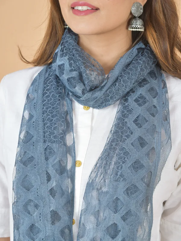 Grey_Net_Self_Design_Dupatta_For_Women