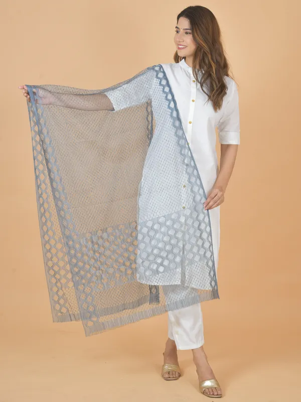 Grey_Net_Self_Design_Dupatta_For_Women