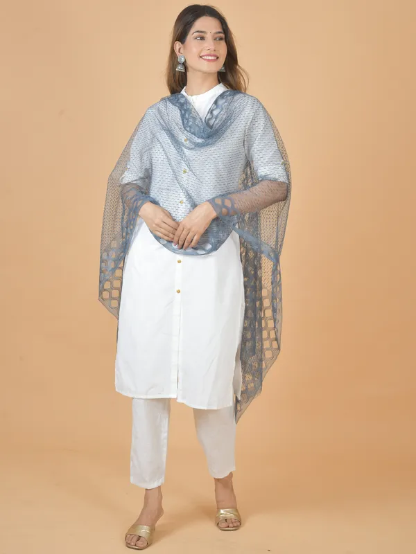 Grey_Net_Self_Design_Dupatta_For_Women