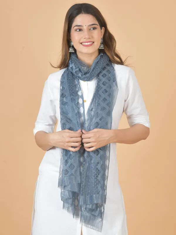 Grey_Net_Self_Design_Dupatta_For_Women