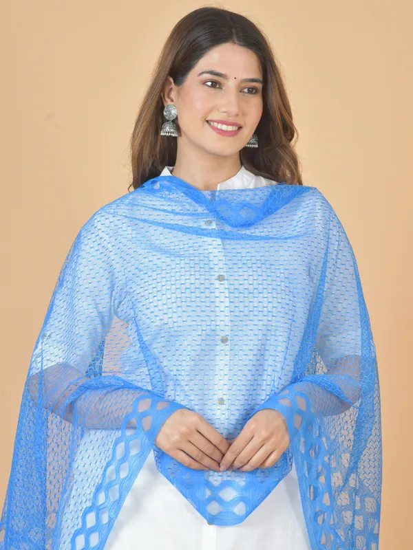 Light_Blue_Net_Self_Design_Dupatta_For_Women