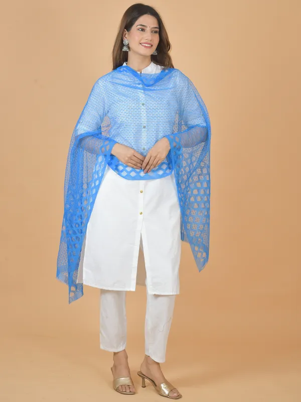 Light_Blue_Net_Self_Design_Dupatta_For_Women