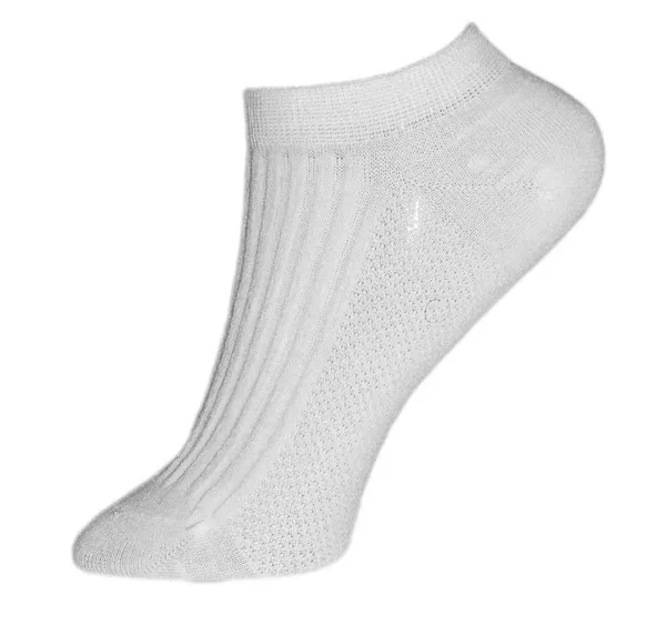 Pack_Of_5_Mercerised_Cotton_Ankle_Length_Socks_For_Women