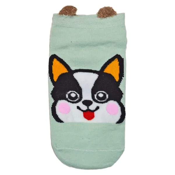 Pack_Of_5_Mercerised_Cotton_Socks_For_Kids