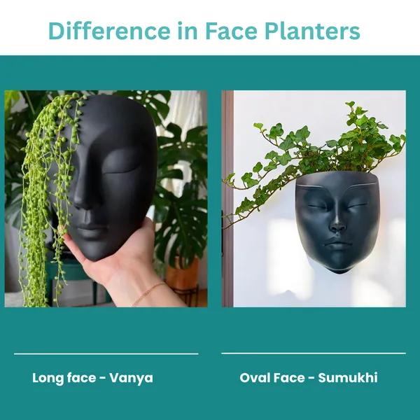 Black_Resin_Wall_Hanging_Lady_Face_Planter_|_Artistic_Decorative_Plant_Holder_for_Balcony_&_Garden