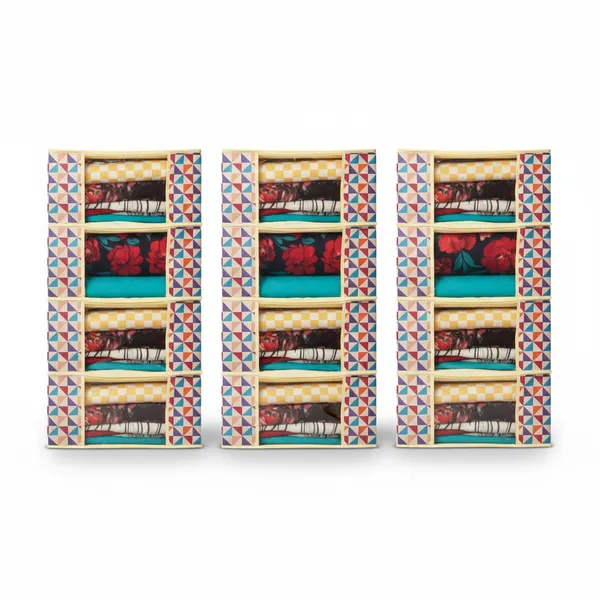 Multicolor_Home_Closet_Organizer_For_Sarees_Towels_&_Blankets_Jeans_(Pack_Of_12)