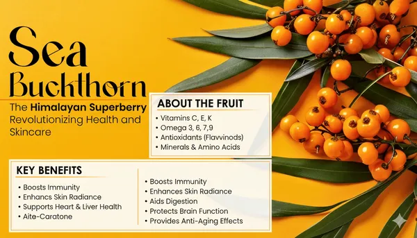 Buy_1_Get_1_Free_(500_ml_+_500_ml)_Sea_Buckthorn_Juice_–_Natural_Health_&_Skin_Support_|_Omega_3,6,9_&_7_With_Multivitamin_A,_C,_E,_and_B