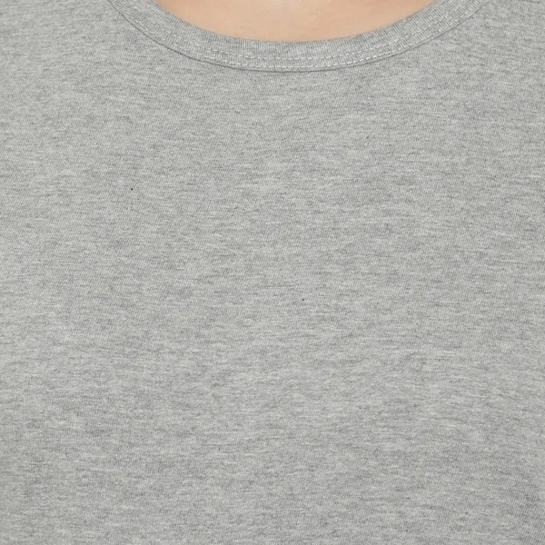 Silver_Pure_Cotton_Short_Sleeve_Colorblock_Round_Neck_Regular_T-Shirt_For_Women