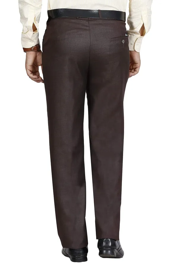 Dark_Brown_Regular_Fit_Stretchable_Wrinkle_Free_Terry-Rayon_Trousers