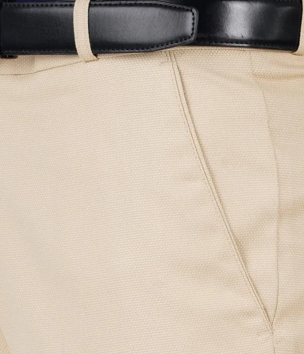 Beige_Wrinkle_Free_Stretchable_Self_Design_Formal_Regular_Fit_Trousers_For_Men