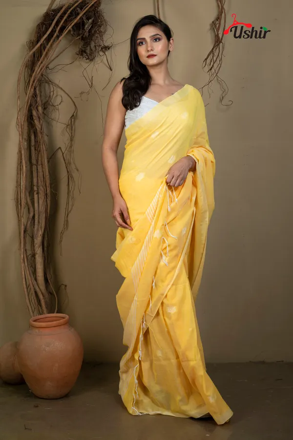 Yellow_Cotton_Handloom_Jhilmil_Saree