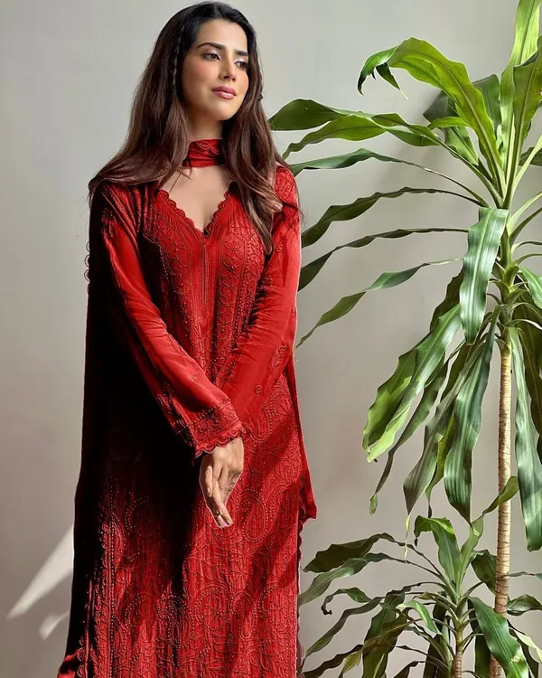 Red_Fox_Georgette_Chikankari_Work_Three_Piece_Suits