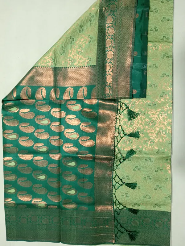 Light_Green_Kaveri_Pattu_Silk_For_Women