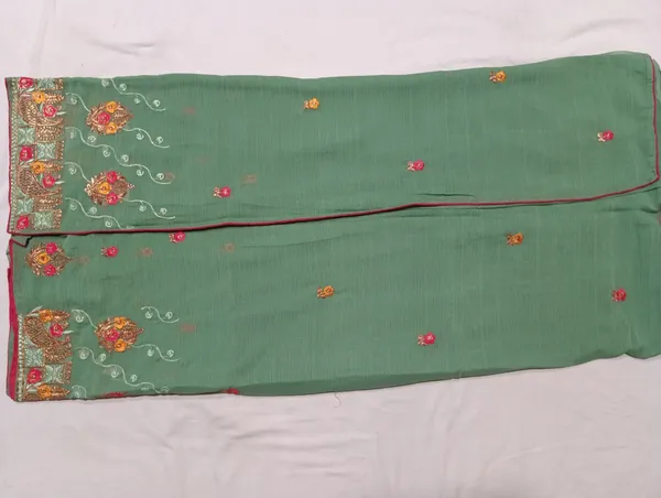 Light_Green_Zomato_Work_Designer_Saree_For_Women