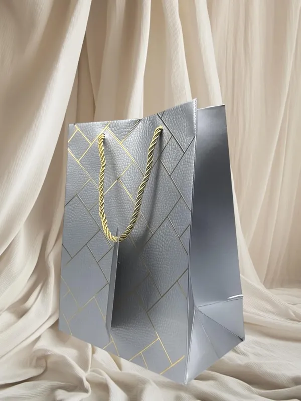 Pack_Of_10_Silver_Fancy_Paper_Bag