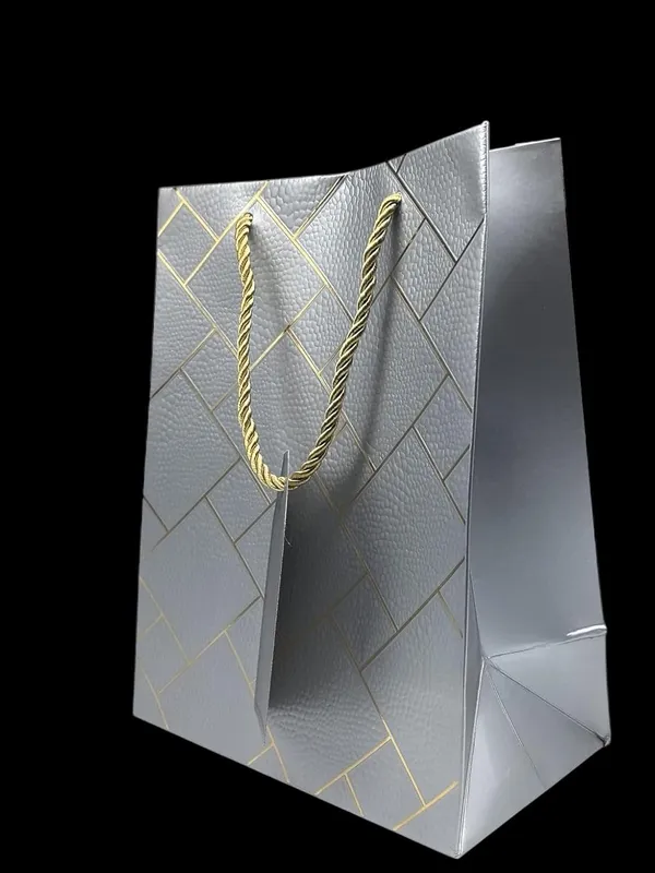 Pack_Of_10_Silver_Fancy_Paper_Bag