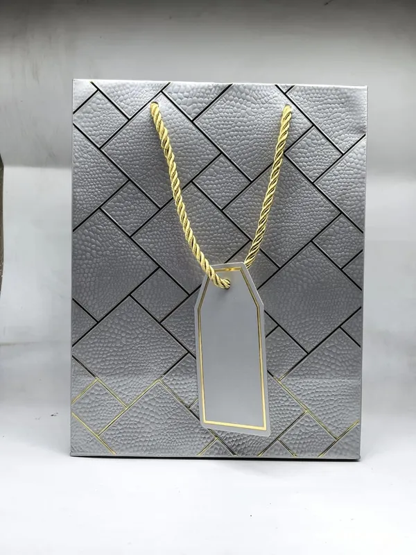 Pack_Of_10_Silver_Fancy_Paper_Bag