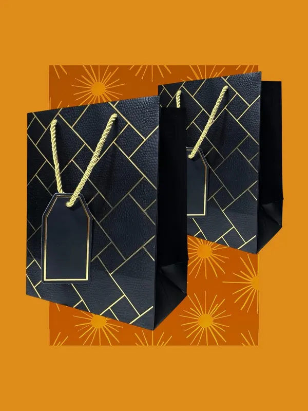 Pack_Of_10_Black_Gift_Paper_Bag